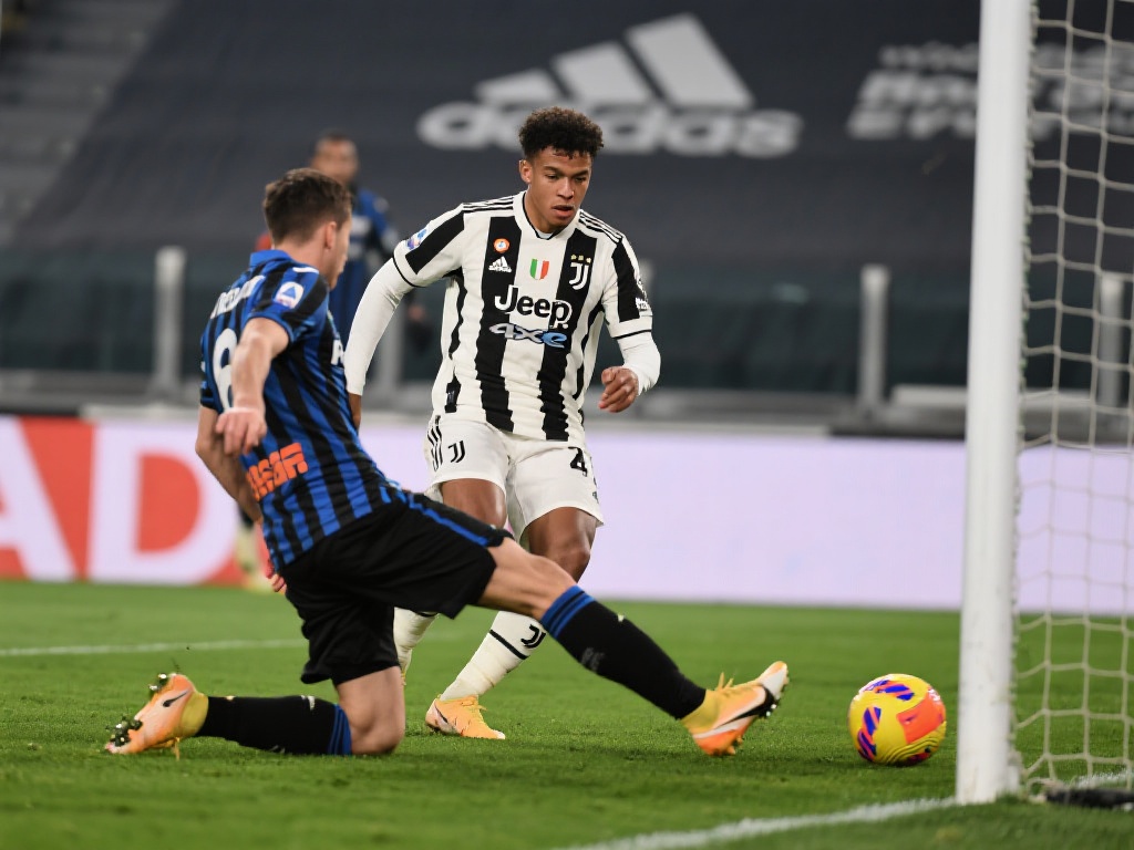 球的顶级赛 球的顶级赛